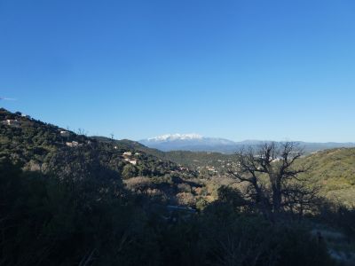 Vue Canigou