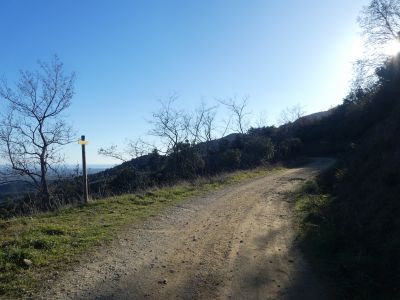 Croisement après pique-nique