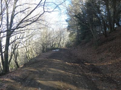 Croisement descente Reposador