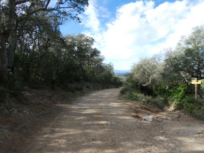 Croisement après Bosc