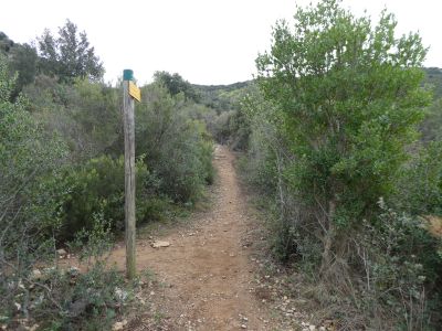 Croisement après Pardès