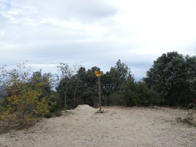 Croisement après Selva