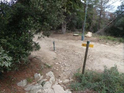 Mas Selva