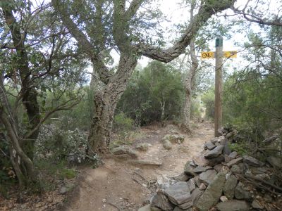 Dolmen Cotlliure