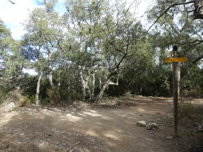 Croisement après Dolmen 3