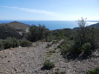 Croisement après Farella 4