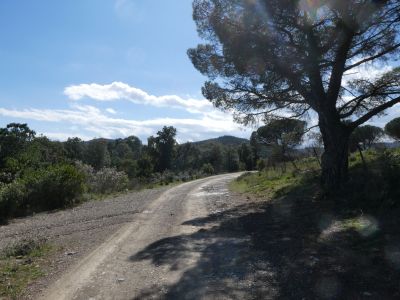 Chemin Fer 4