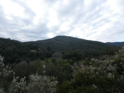 Vue Calcina