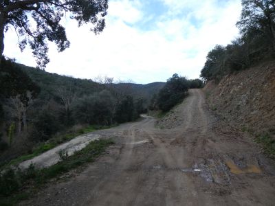 Croisement Lluís