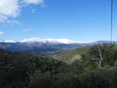 Vue Canigou