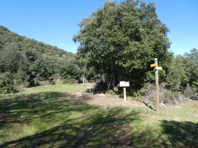 Croisement montée Catri 536