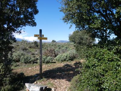 Croisement montée Catri 571