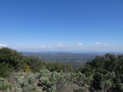 Vue Ribéral