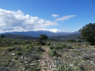 Descente Catri