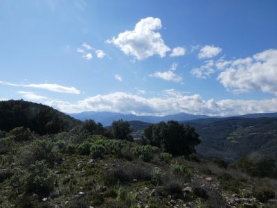 Vue Vallespir
