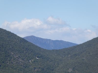 Vue Roja