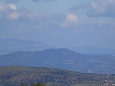 Vue Força Real