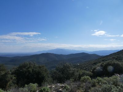 Vue Albères 3