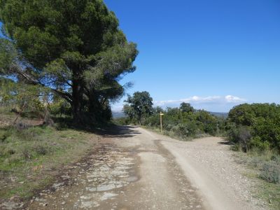 Chemin Fer 3