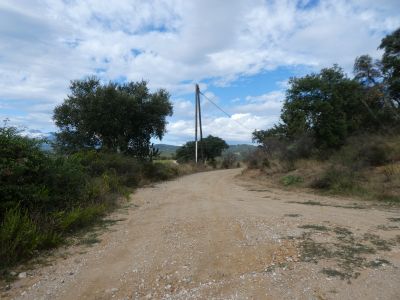 Croisement Amandiers