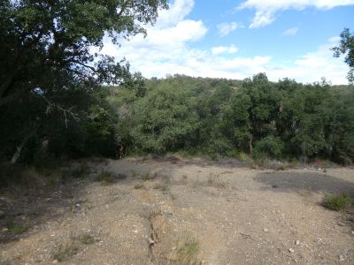 Croisement après Amandiers 2