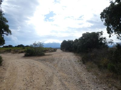 Croisement après Garriga