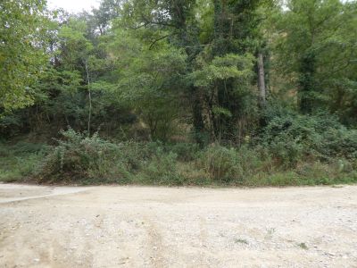 Croisement piste Valmagne