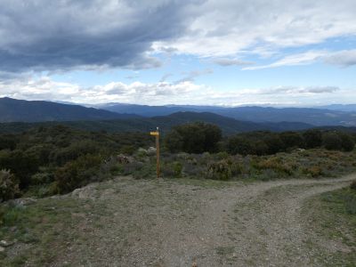 Descente