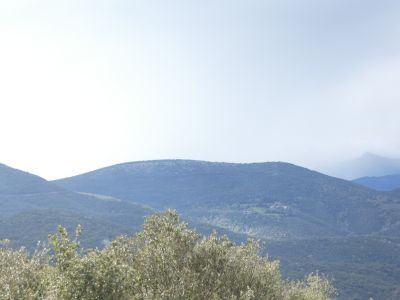 Vue Montner