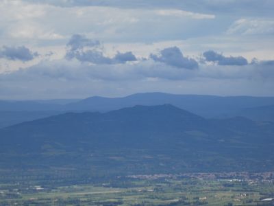 Vue Força Real