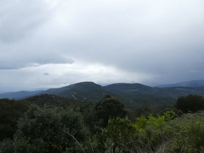 Vue Helena 3