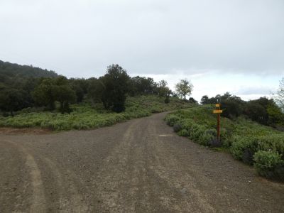 Puig Candell