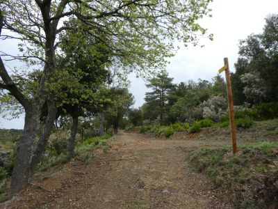 Croisement Candell