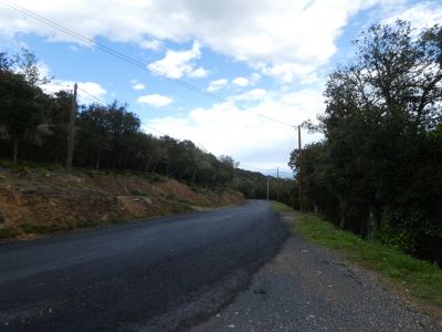 Coll Margarita 2