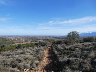 Vue sentier retour