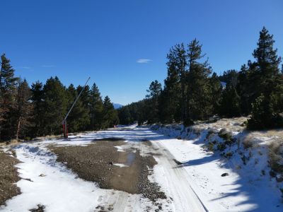 Croisement après Collada