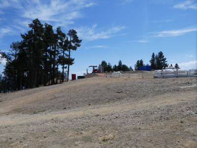 Croisement Calmasella