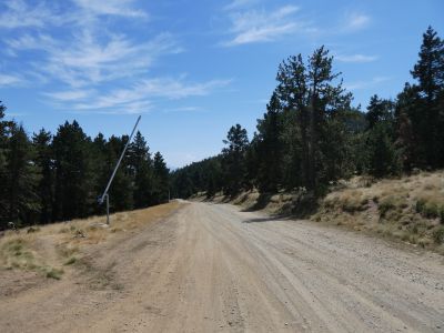 Croisement après Calmasella 3