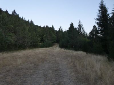 Croisement après départ