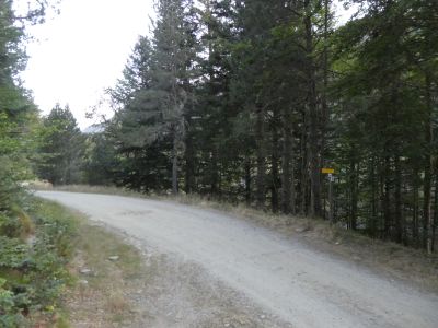 Croisement avant Galba