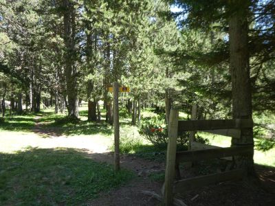 Croisement après Chemin Balmeta