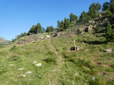 Croisement après Basseta