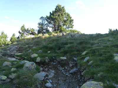 Croisement sentier Peric