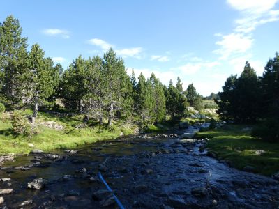 Vue affluent Lladura