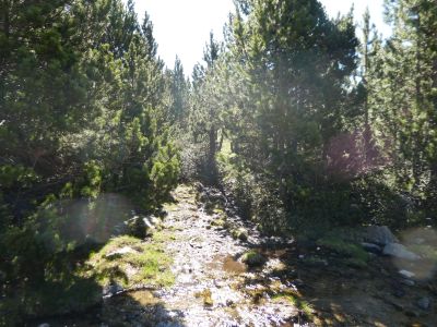 Croisement fin Bidet