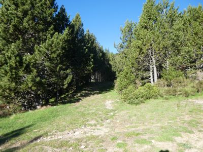 Croisement après Bosc 2