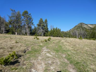 Croisement fin Téléski Negre
