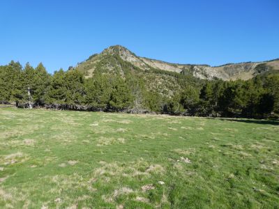 Croisement fin Bosc Negre 3