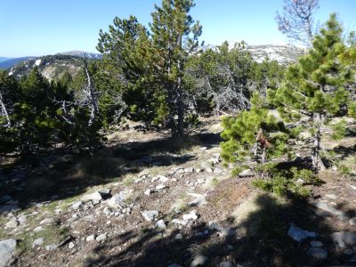 Croisement descente Ginebre