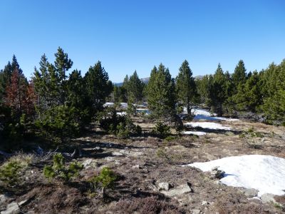 Croisement montée Bernat